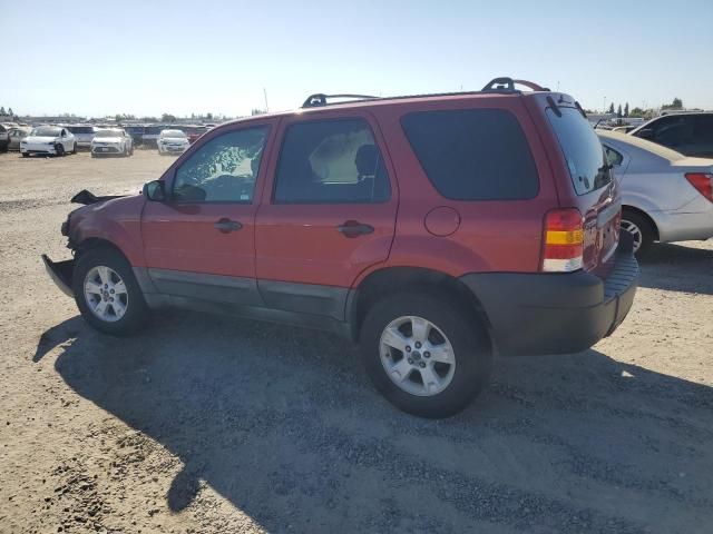 2006 Ford Escape XLT