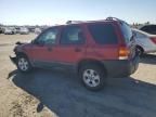 2006 Ford Escape XLT