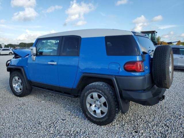 2007 Toyota FJ Cruiser