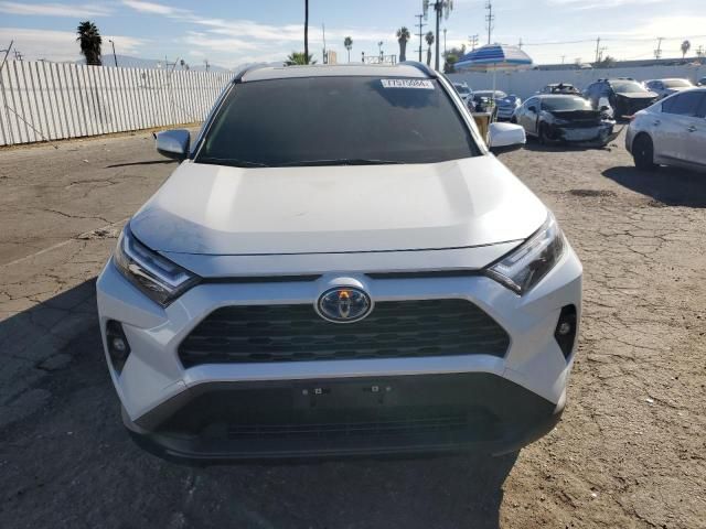 2023 Toyota Rav4 XLE Premium