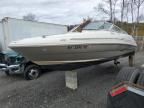 2006 Sea Ray 240 Sundan