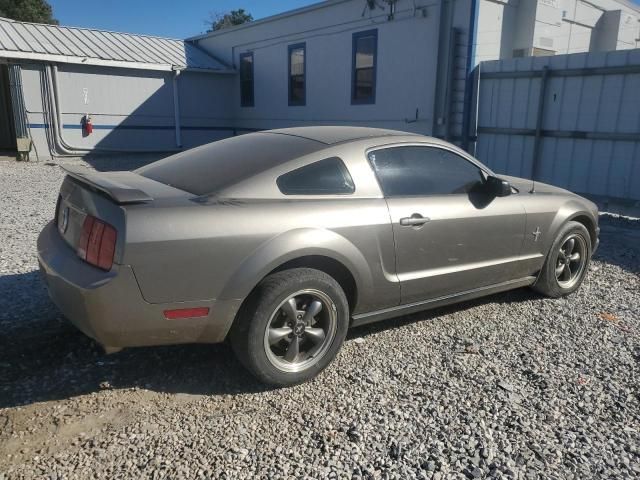 2005 Ford Mustang