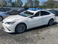 Salvage cars for sale at Spartanburg, SC auction: 2019 Lexus ES 350