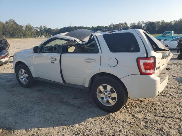 2011 Ford Escape Limited