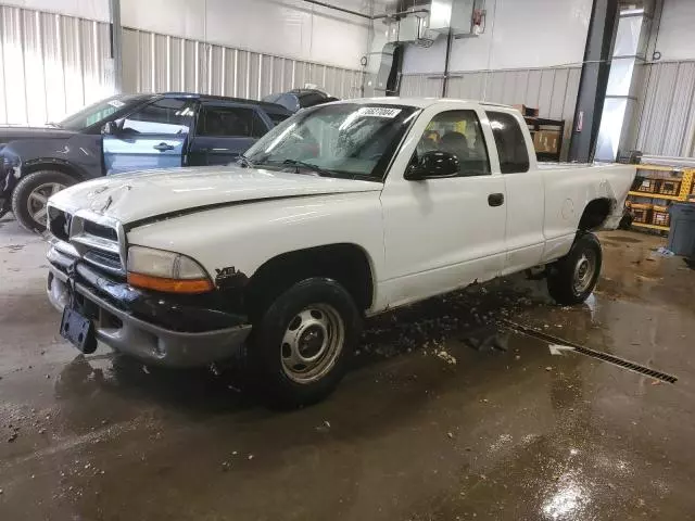 2000 Dodge Dakota