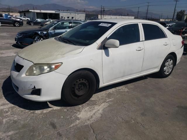 2009 Toyota Corolla Base