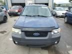 2007 Ford Escape XLT