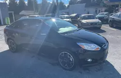 Ford salvage cars for sale: 2013 Ford Focus SE