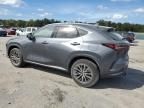 2024 Lexus NX 350H Base