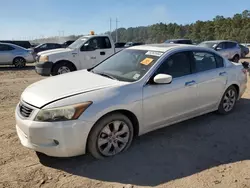 Honda Accord exl salvage cars for sale: 2010 Honda Accord EXL