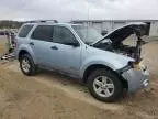 2008 Ford Escape HEV