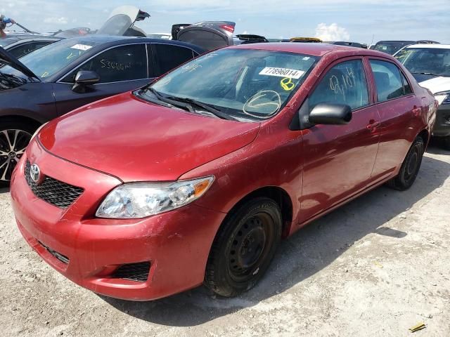 2010 Toyota Corolla Base