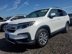 Honda Pilot salvage cars for sale: 2020 Honda Pilot EXL