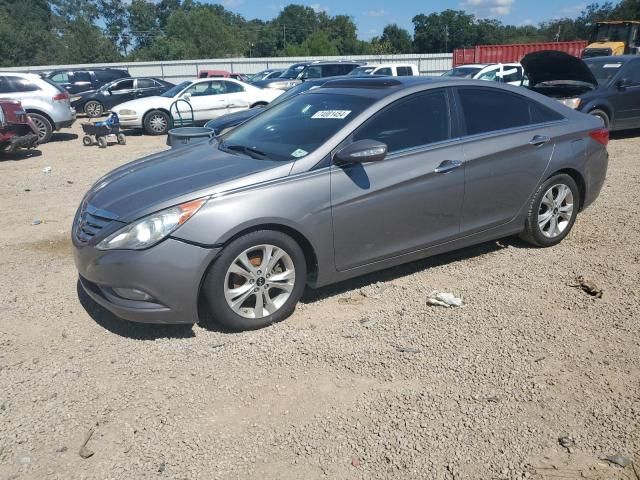 2011 Hyundai Sonata SE