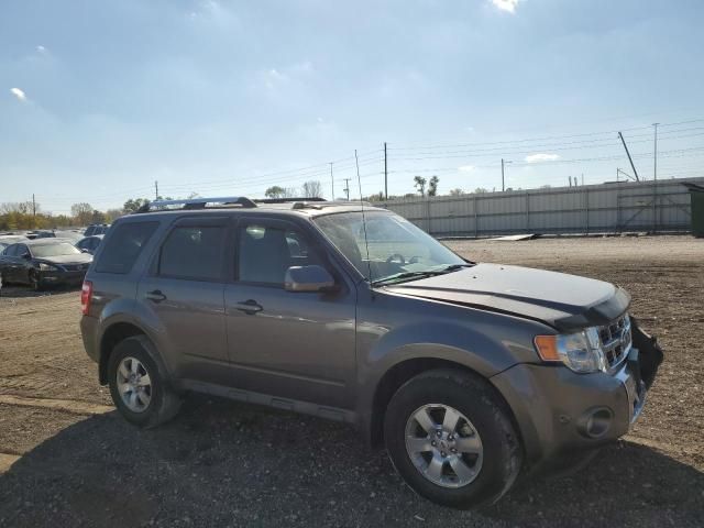 2010 Ford Escape Limited