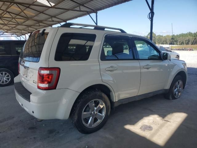 2011 Ford Escape Limited