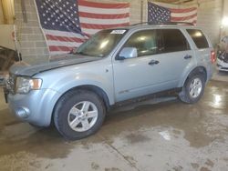 Salvage cars for sale at Columbia, MO auction: 2008 Ford Escape HEV