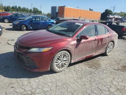 Salvage cars for sale at Bridgeton, MO auction: 2019 Toyota Camry L