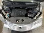 2008 Honda Odyssey EXL