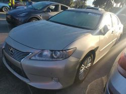 Salvage cars for sale at Riverview, FL auction: 2013 Lexus ES 350