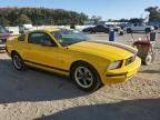 2006 Ford Mustang