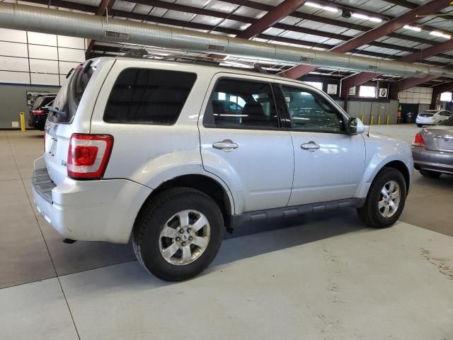 2010 Ford Escape Limited