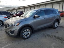 2016 KIA Sorento LX en venta en Louisville, KY