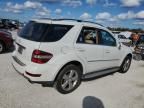 2010 Mercedes-Benz ML 350