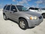 2001 Ford Escape XLT