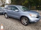 2010 Honda CR-V EXL