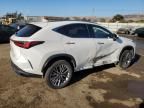 2023 Lexus NX 350H