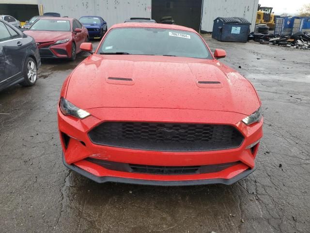 2019 Ford Mustang