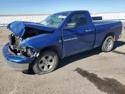 Salvage cars for sale at Anthony, TX auction: 2011 Dodge RAM 1500