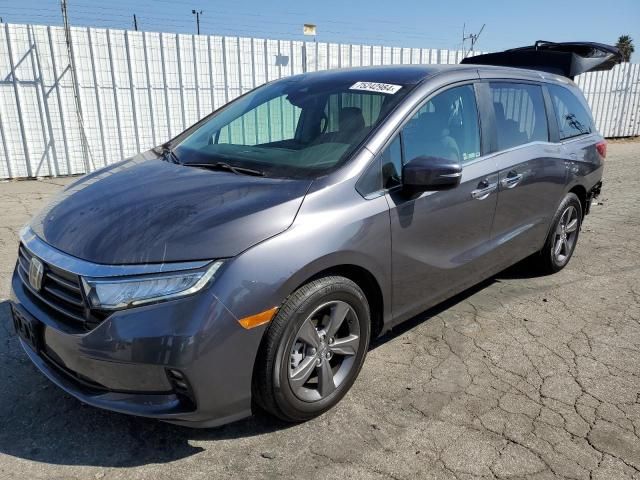 2024 Honda Odyssey EX