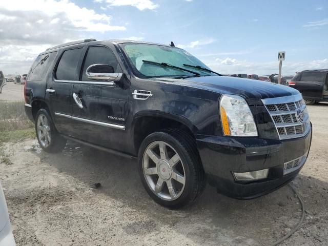 2014 Cadillac Escalade Luxury