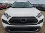 2020 Toyota Rav4 Adventure