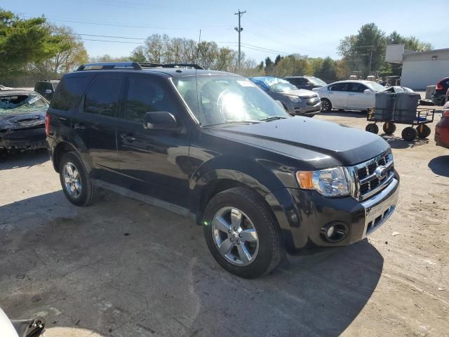 2011 Ford Escape Limited