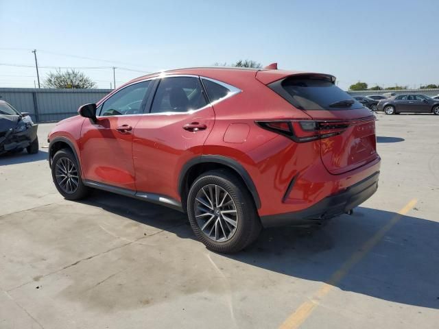 2022 Lexus NX 250