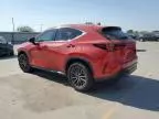 2022 Lexus NX 250