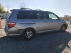 2007 Honda Odyssey EXL