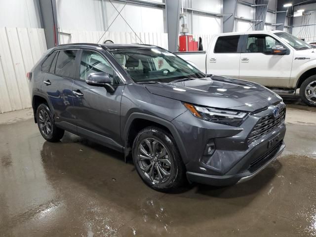 2023 Toyota Rav4 Limited