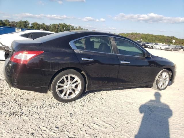 2010 Nissan Maxima S