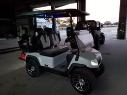 Salvage trucks for sale at Riverview, FL auction: 2024 HDK Golf Cart