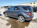 2010 Mercedes-Benz ML 350