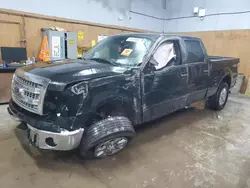 Salvage cars for sale at Kincheloe, MI auction: 2014 Ford F150 Supercrew