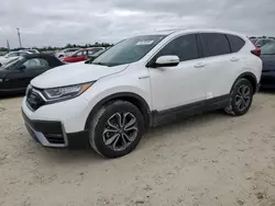 Salvage cars for sale at Arcadia, FL auction: 2022 Honda CR-V EXL