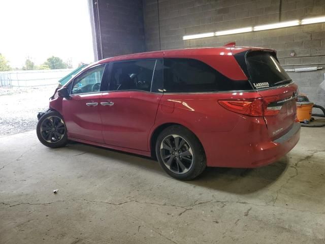 2024 Honda Odyssey Elite