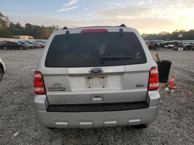 2010 Ford Escape Limited