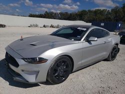 Salvage cars for sale from Copart New Braunfels, TX: 2019 Ford Mustang