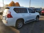 2010 Lexus GX 460